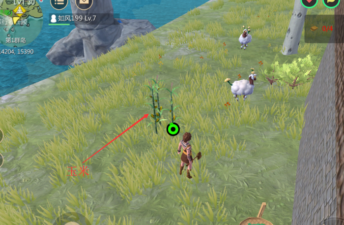 创造与魔法植物纤维有什么用2