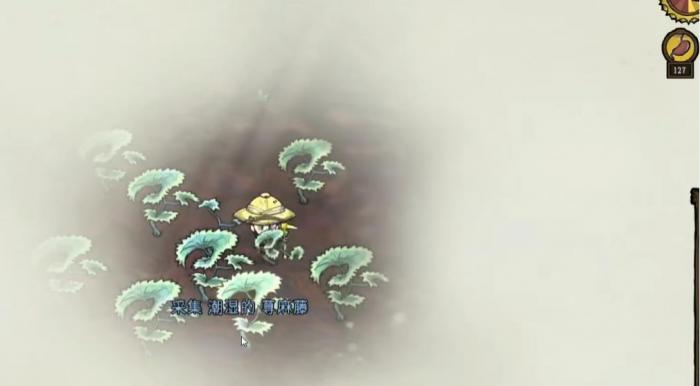 饥荒花粉症该怎么缓解2