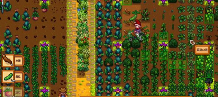 星露谷物语SvE黄瓜有哪些特性2