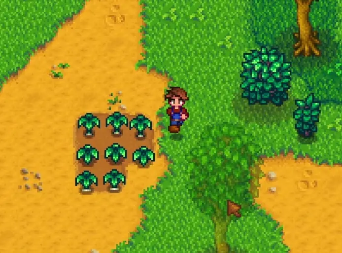 星露谷物语上古种子获取方式有哪些1