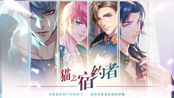 猫之宿约者汤圆烹饪指南：轻松掌握煮汤圆的全流程1