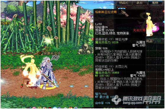 DNF特别宠物礼盒开启惊喜9