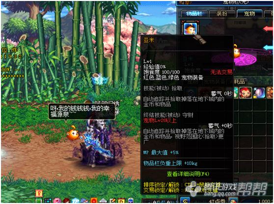 DNF特别宠物礼盒开启惊喜11