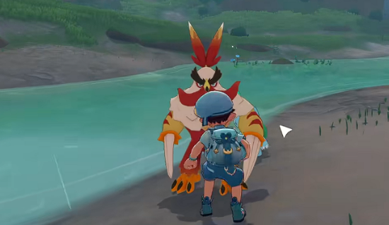 洛克王国武者鸡进化攻略1