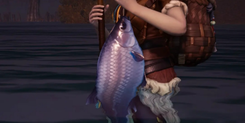 荒原曙光钓鱼技巧全解析2