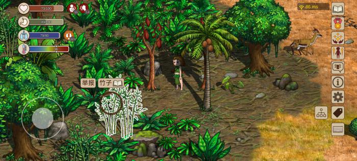 村落人生雨林资源全解析2