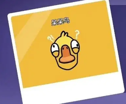 鹅鸭杀呆呆鸟玩法全解析1