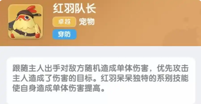 弹弹星球宠物怎么搭配5