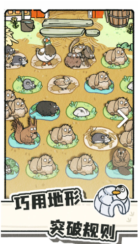 猫神牧场手机版在哪里下载1