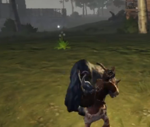 荒原曙光抓宠物怎么玩3