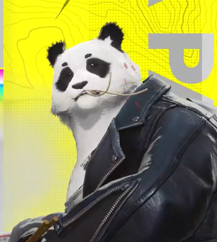 明日方舟终末地熊猫怎么样4