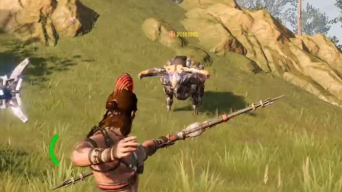 荒野起源武器评测6