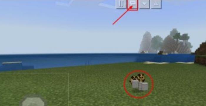 我的世界怎么清空地上掉落物2