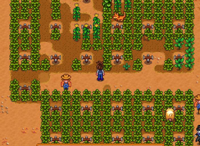 星露谷物语耕种技能怎么用收益最大2