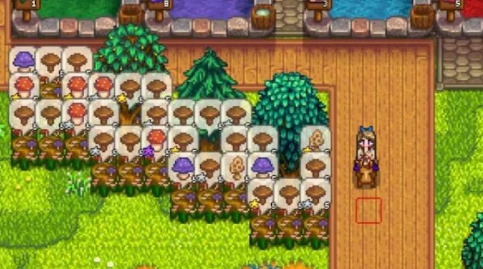 星露谷物语蘑菇树桩有哪些特性2