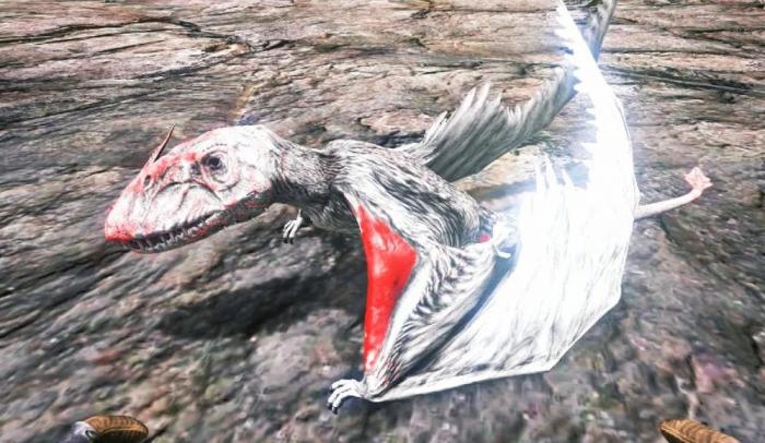 方舟生存进化双型齿翼龙有什么用_方舟生存进化双型齿翼龙怎么放下来