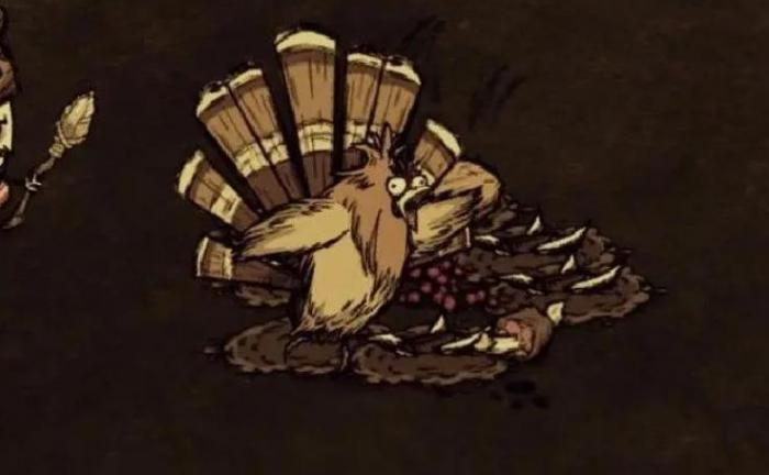 饥荒火鸡怎么捕捉2