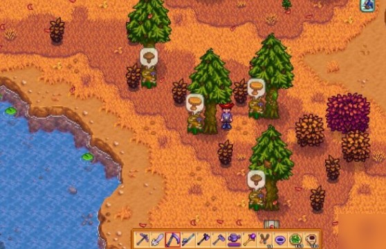 星露谷物语如何分辨所有的树木1