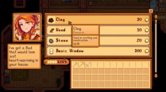 星露谷物语木匠商店有哪些值得购买的1