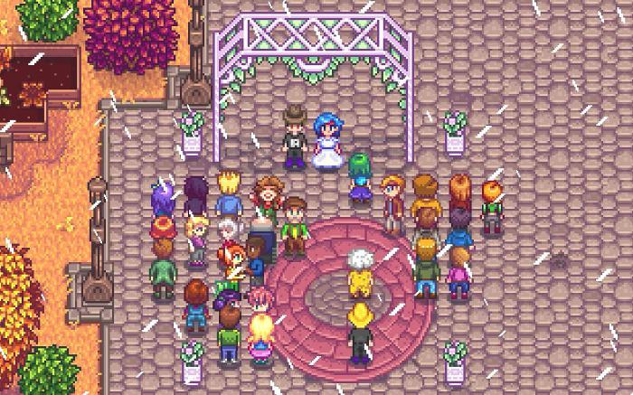 星露谷物语妻子作用有哪些1