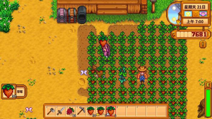 星露谷物语花舞节有什么奖励2