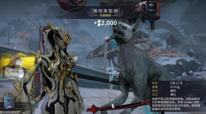 星际战甲小鸭子声望任务怎么开3