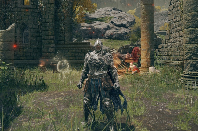 艾尔登法环比较肉的套装有哪些2