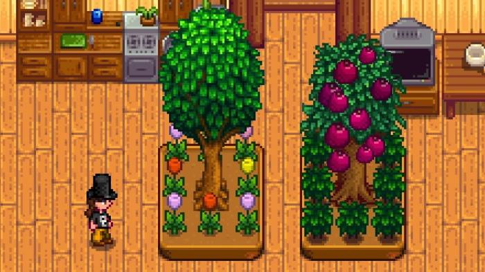 星露谷物语夏天种什么树2