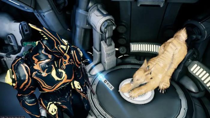 星际战甲300白金能买什么2