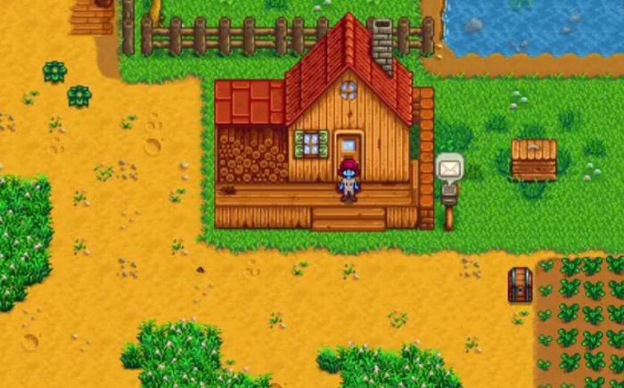 星露谷物语海莉讨厌什么2