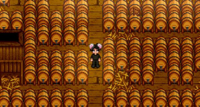 星露谷物语海莉问今天干什么1