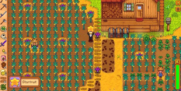 星露谷物语夏天种什么赚1