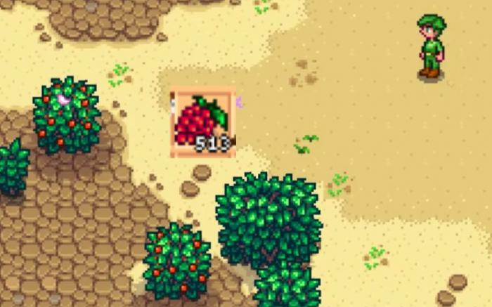 星露谷物语美洲树莓如何获取3