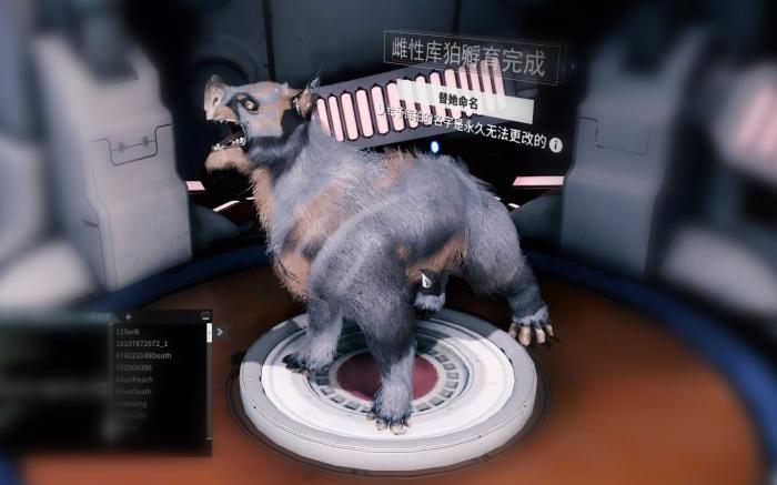 星际战甲新手推荐宠物有哪些_星际战甲最好用的宠物