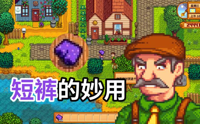 星露谷物语村长的短裤有什么用1