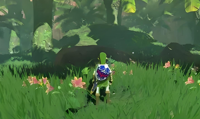 旷野之息怎么制作精力药水_旷野之息 精力药