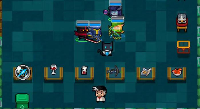 元气骑士宠物有哪些3