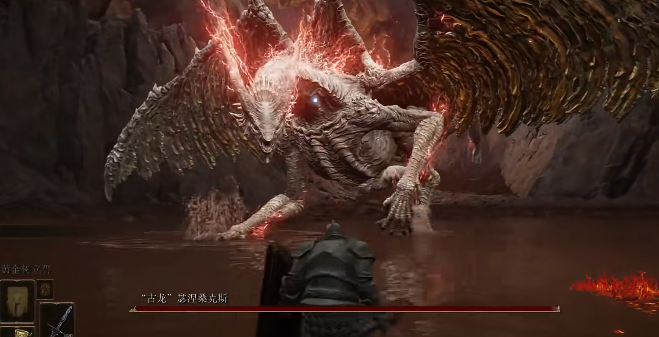 艾尔登法环有哪些强力的盾牌武器_艾尔登法环配置要求