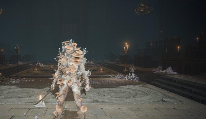 艾尔登法环防御性最高的套装有哪些_艾尔登法环防火女