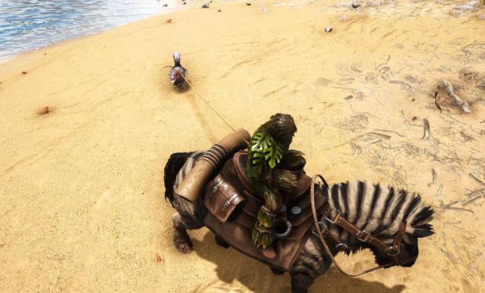 方舟生存进化庞马怎么驯服2