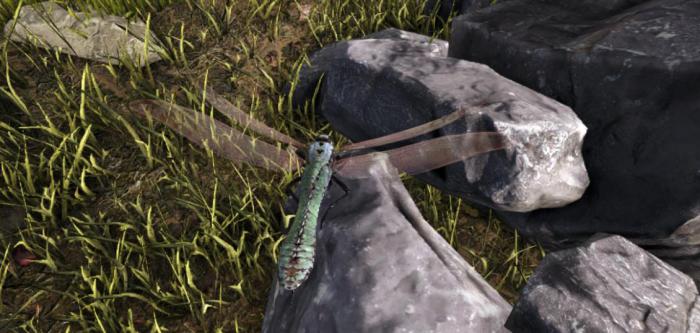 方舟生存进化巨脉蜻蜓怎么打2