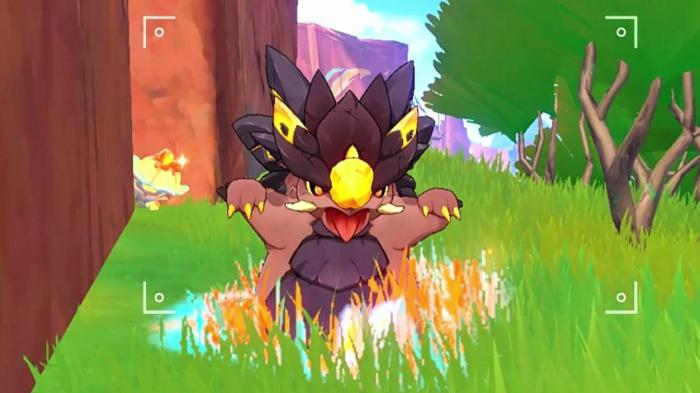 原神纳塔地区有哪些龙伙伴2