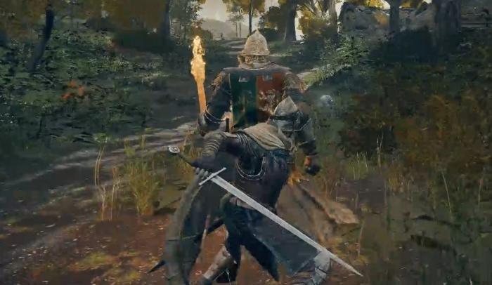 艾尔登法环关卡前废墟有哪些玩法1