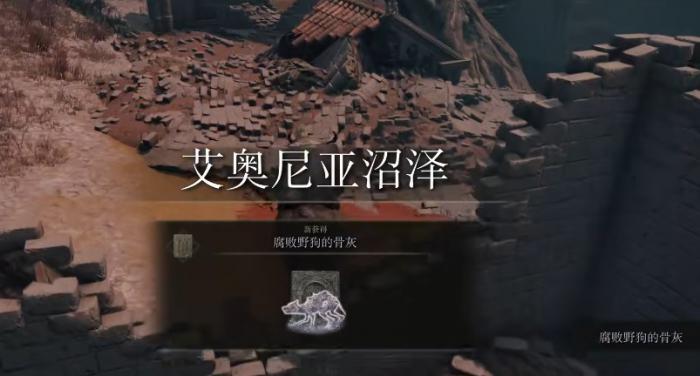 艾尔登法环最强力的骨灰有哪些1