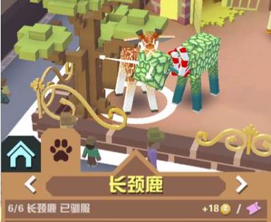 疯狂动物园隐藏丛林怎么进2