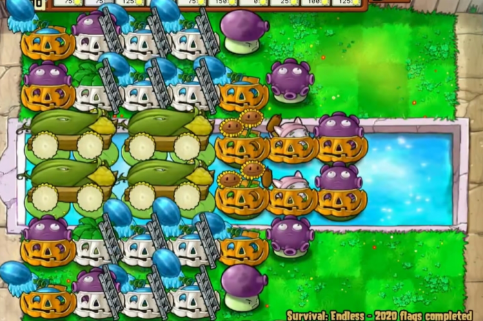 植物大战僵尸怎么过无尽2