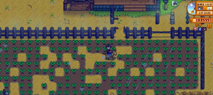 星露谷物语有哪几种围栏2