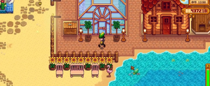 星露谷物语为什么要做一个农夫2