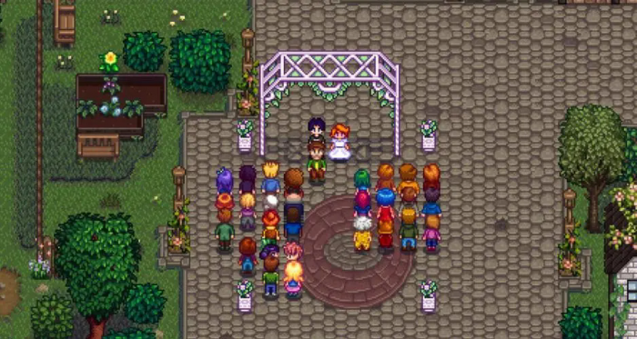 星露谷物语能不能娶两个1