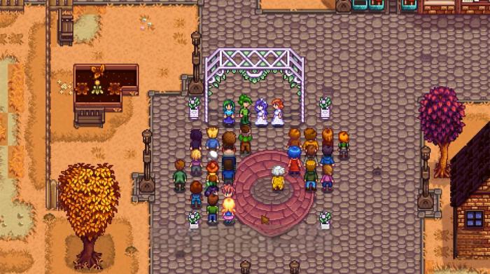 星露谷物语能不能娶两个2